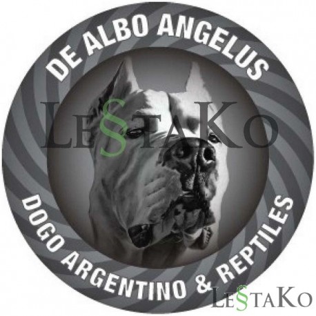 Nalepka argentinska doga 15x15cm