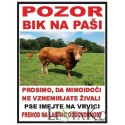 Pozor bik  Pozor bik