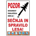 Pozor sečnja in spravilo 