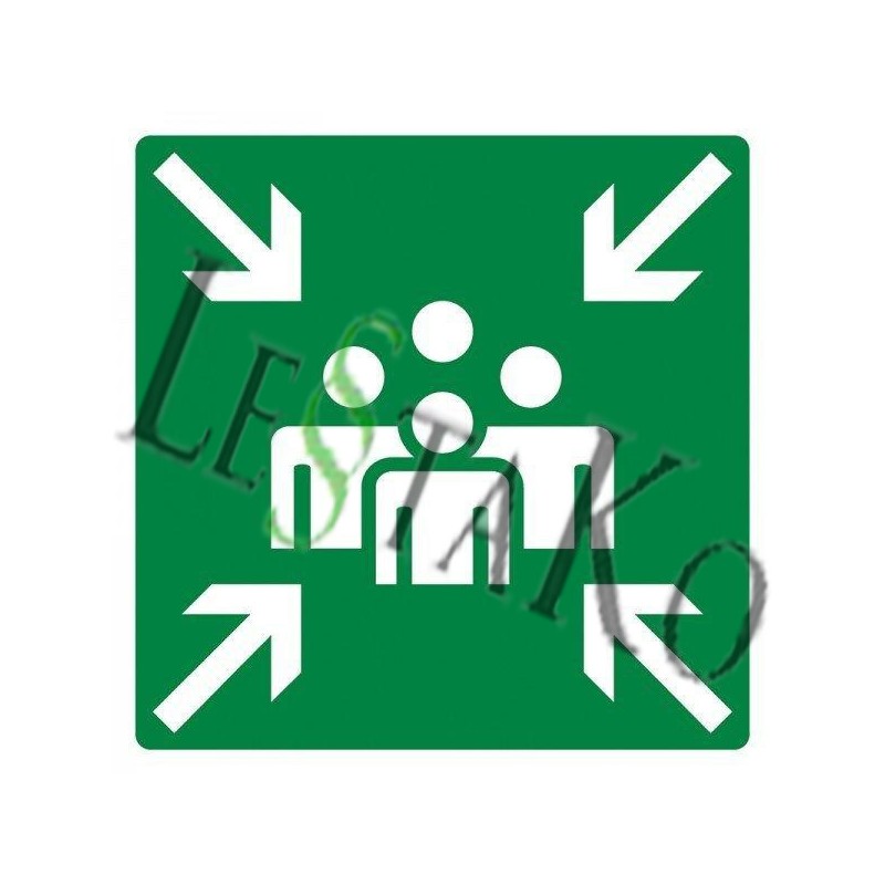 🧍‍♂️⬅️➡️🧍‍♀️ Assembly Point sign – 30 x 30 cm