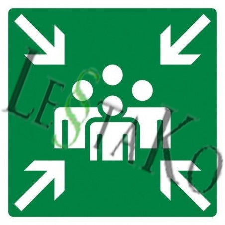 🧍‍♂️⬅️➡️🧍‍♀️ Assembly Point sign – 30 x 30 cm