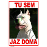 🐶 Opozorilna tabla z motivom psa pasme Dogo Argentina in napisom »TU SEM«